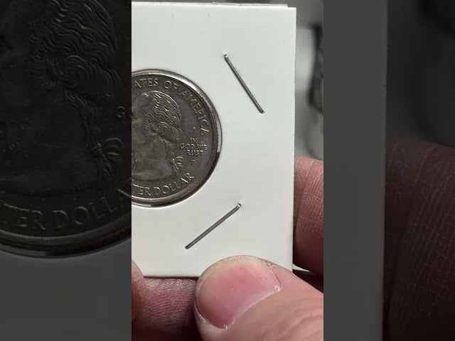 LAS VEGAS COIN HUNTER & STACKER