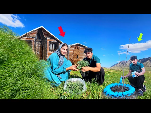 Mina - nomadic lifestyle