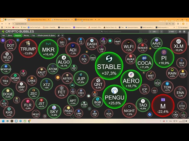 Биток На всю котлету