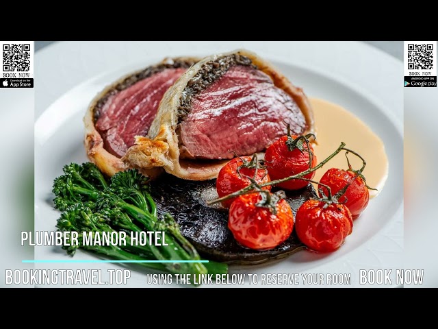 Bookingtraveltop