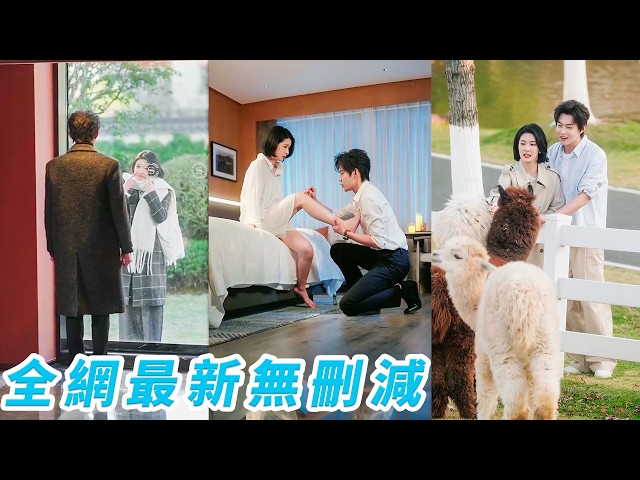 追劇鴨