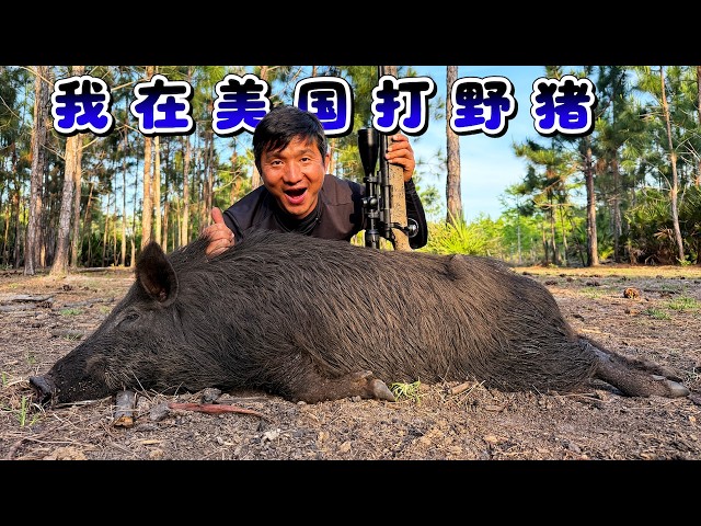 OK哥环球探海记  okge ocean exploration
