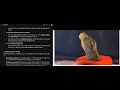 TIPS COIN