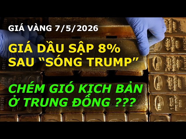 Định cư Hà Nội