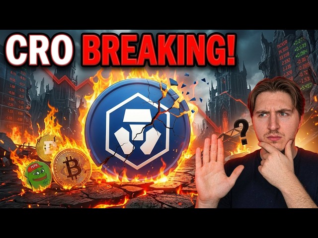 The Crypto Report