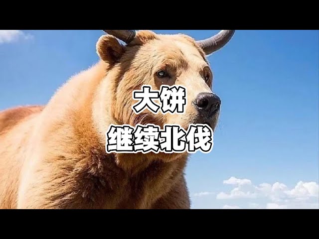 游资懒羊羊