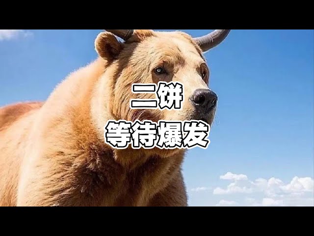 游资懒羊羊
