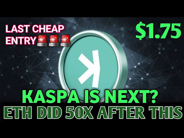 Zacchy Crypto Update