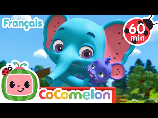 CoComelon Le coin des Animaux de JJ - Comptines