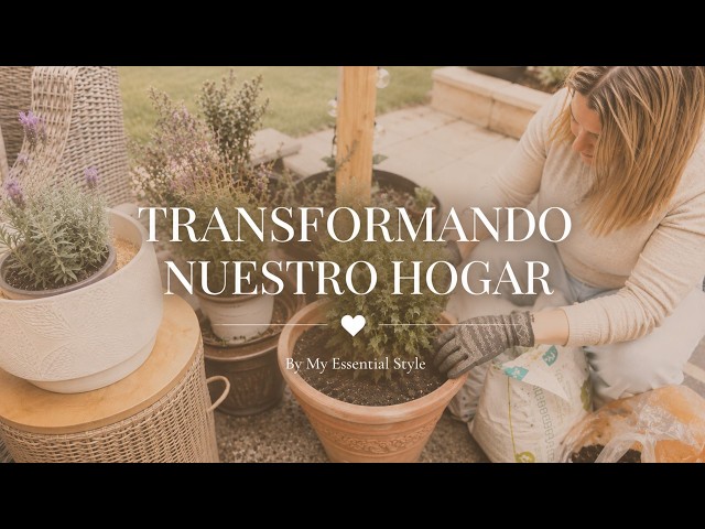 My Essential Style