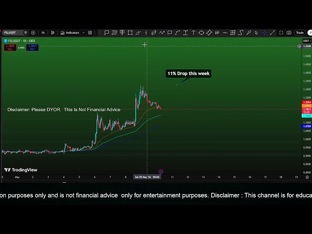 Live Day Trader