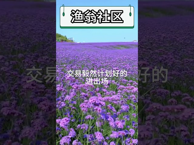 渔翁社区
