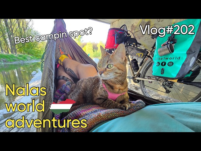 1bike1world