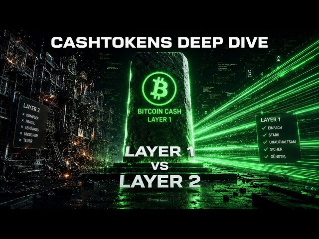THE MACHINE ECONOMY (BCH Focused)