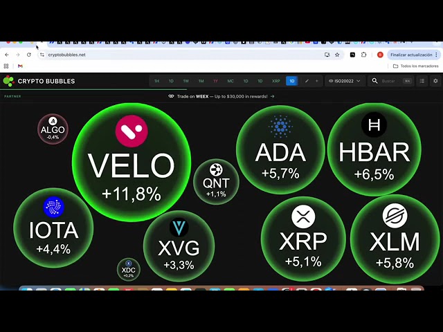 XRP AL Heras
