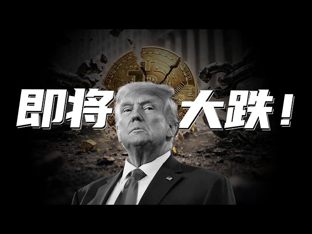 分析师舒琴谈比特币