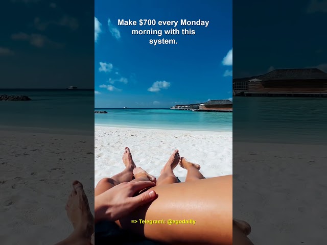 MemeTrading
