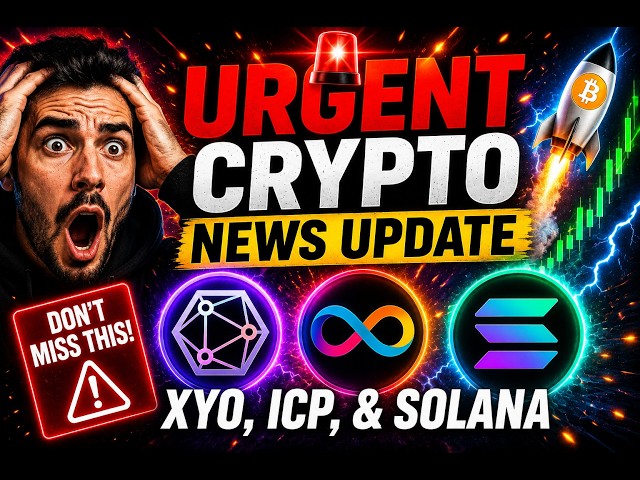 NC Hammer Crypto