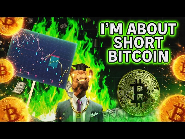 Camel Finance