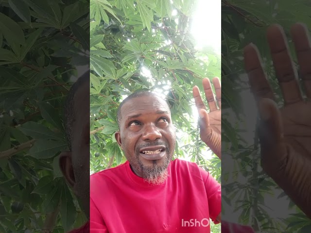 MrKlem 🕊️💎