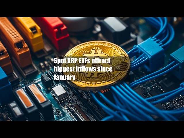 Crypto World Daily