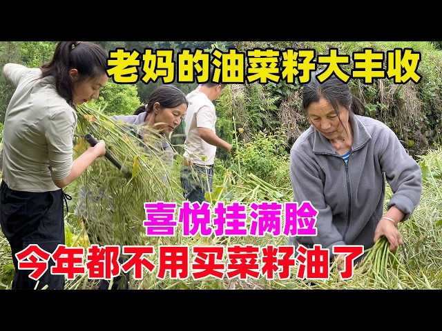 李慧琳的唐 Hui lin Li