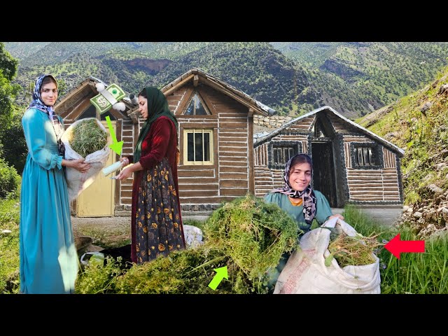 Mina - nomadic lifestyle