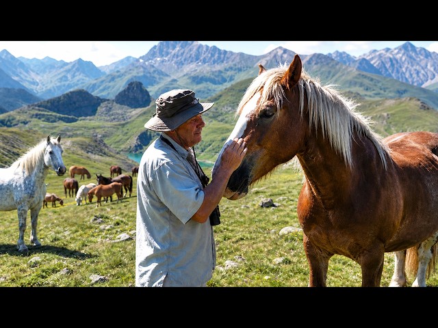 Eugenio Monesma - Documentales