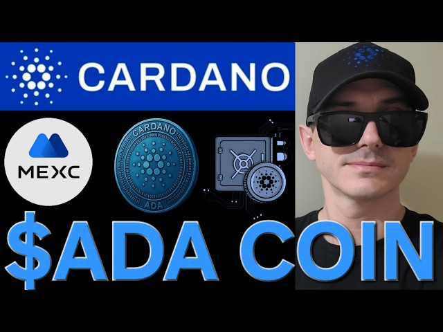 CRYPTO VIDEOZ