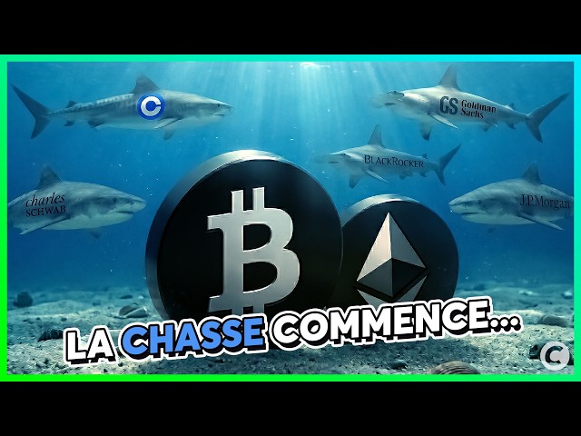 Journal du Coin