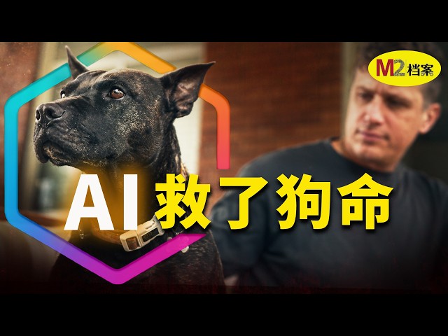 M2档案