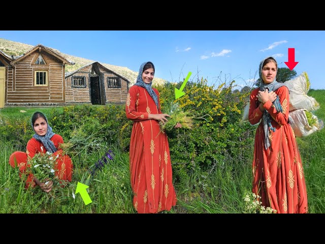 Mina - nomadic lifestyle