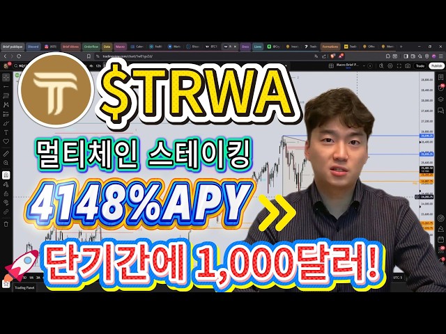 온체인인사이트센터