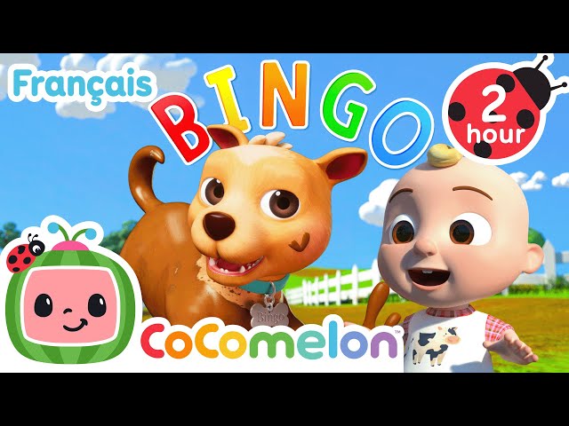 CoComelon Le coin des Animaux de JJ - Comptines