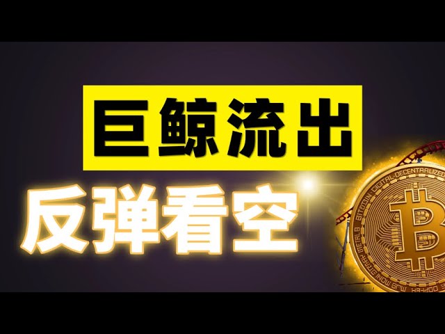 币圈华哥