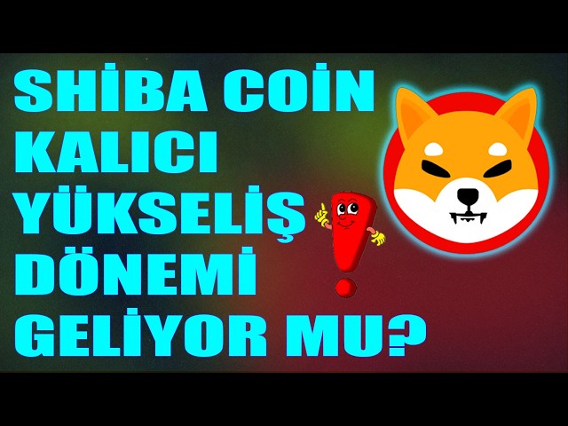 Shiba İnu Türkiye