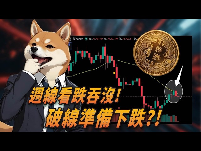柴經顧問-你幣圈的導盲犬