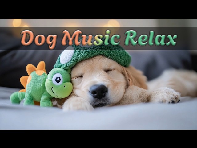 Dog Relaxation