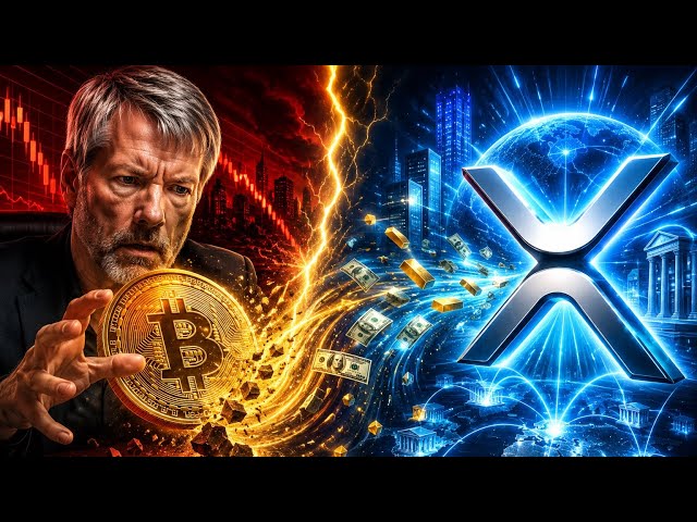 XRP AL DIA