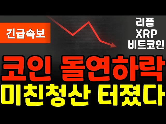 글로벌 코인 뉴스