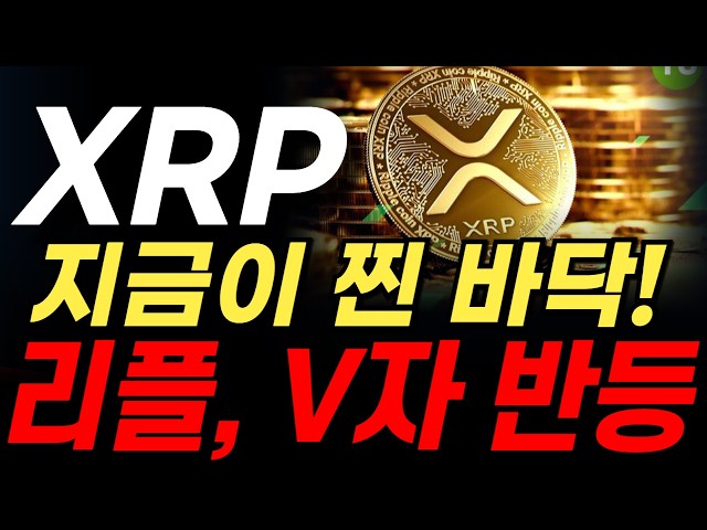 오늘의 코인뉴스