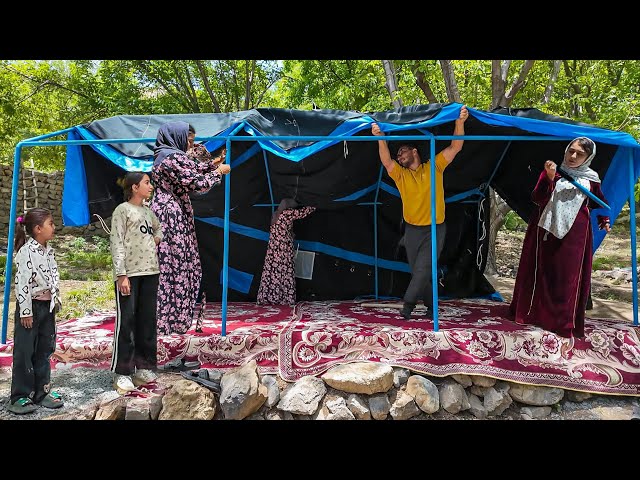 Teefta Iranian Lifestyle
