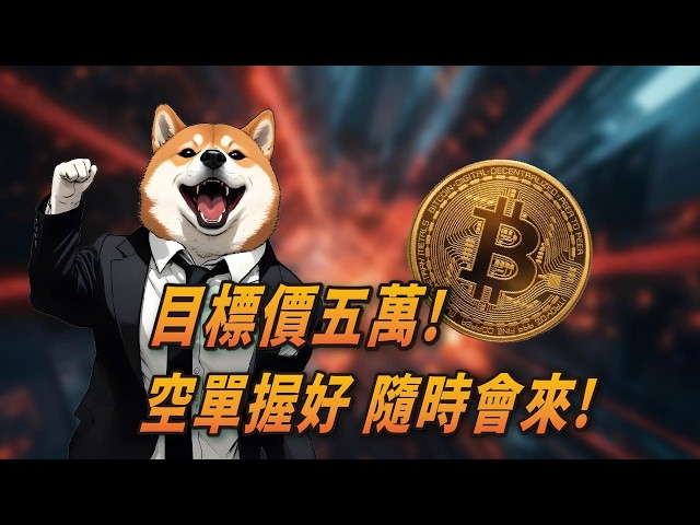 柴經顧問-你幣圈的導盲犬