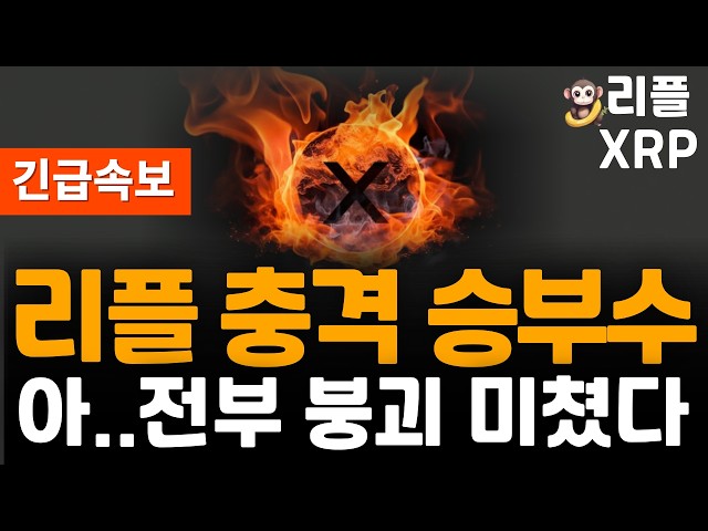 오늘의 코인뉴스