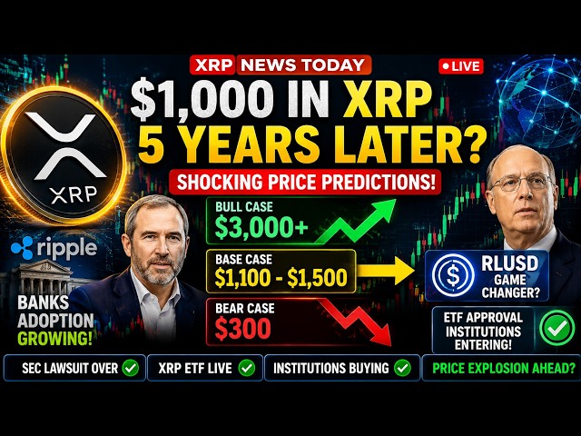 The XRP Analyst