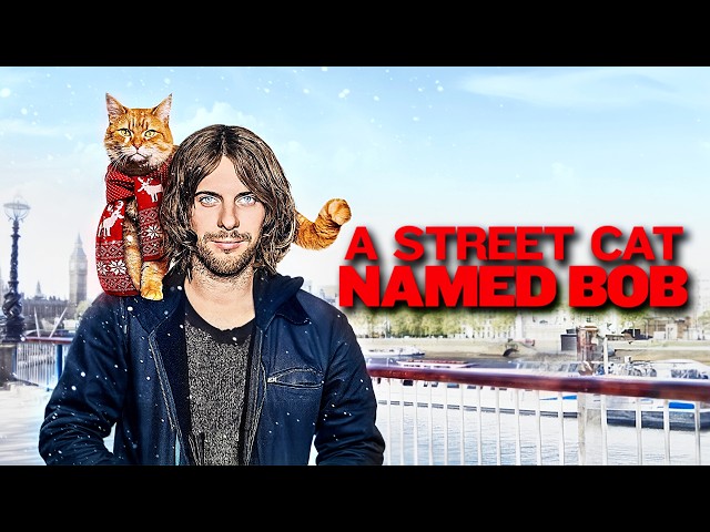 Boxoffice | NEW Full Movies in English