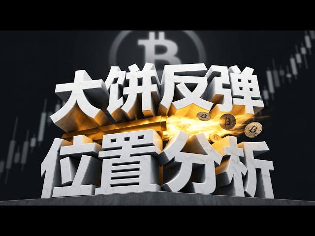罗尼交易指南
