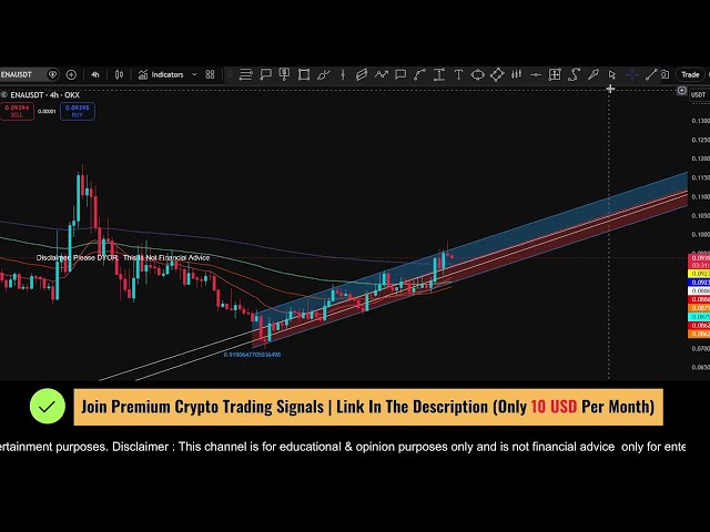 Live Day Trader ( Crypto Scalping Channel )