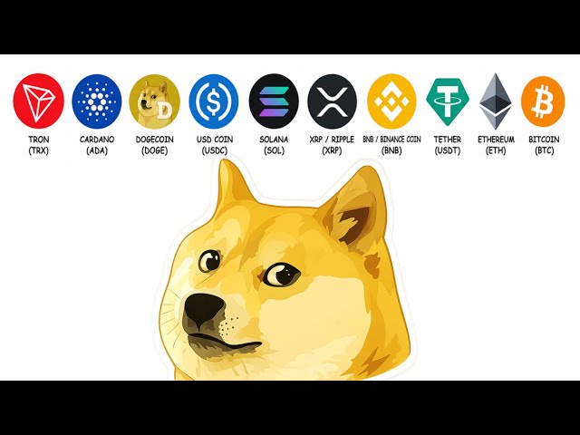 Fine Explained