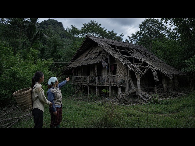 Tieu Ai VN
